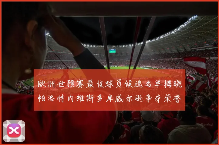 欧洲世预赛最佳球员候选名单揭晓帕洛特内维斯多库威尔逊争夺荣誉