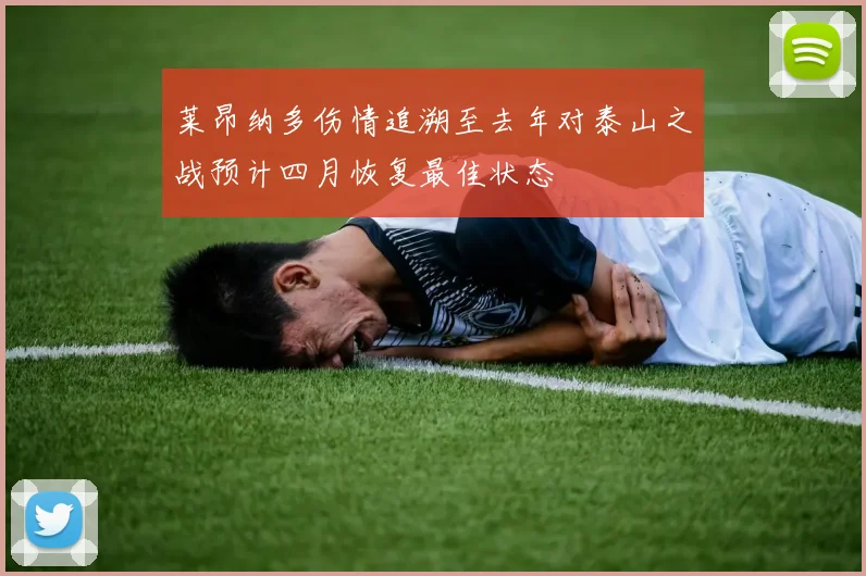 莱昂纳多伤情追溯至去年对泰山之战预计四月恢复最佳状态