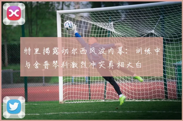 特里揭露切尔西风波内幕：训练中与舍普琴科激烈冲突真相大白